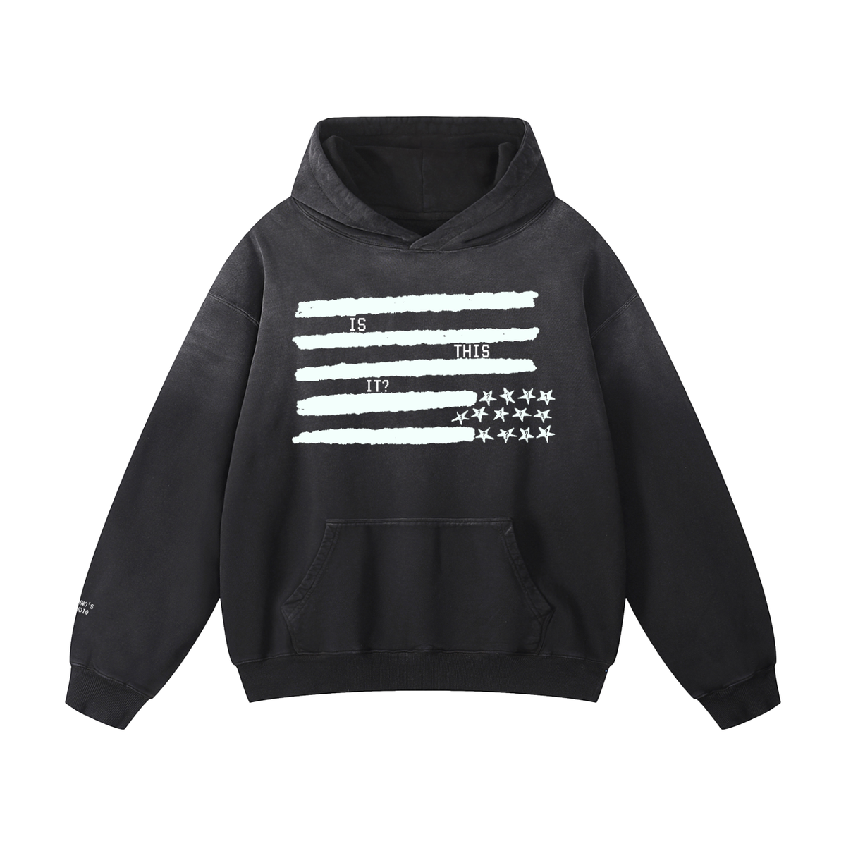 Is this it? Hoodie
